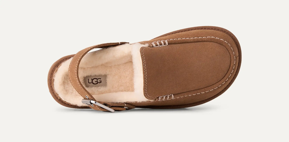 Goldenstar Clog – Chestnut