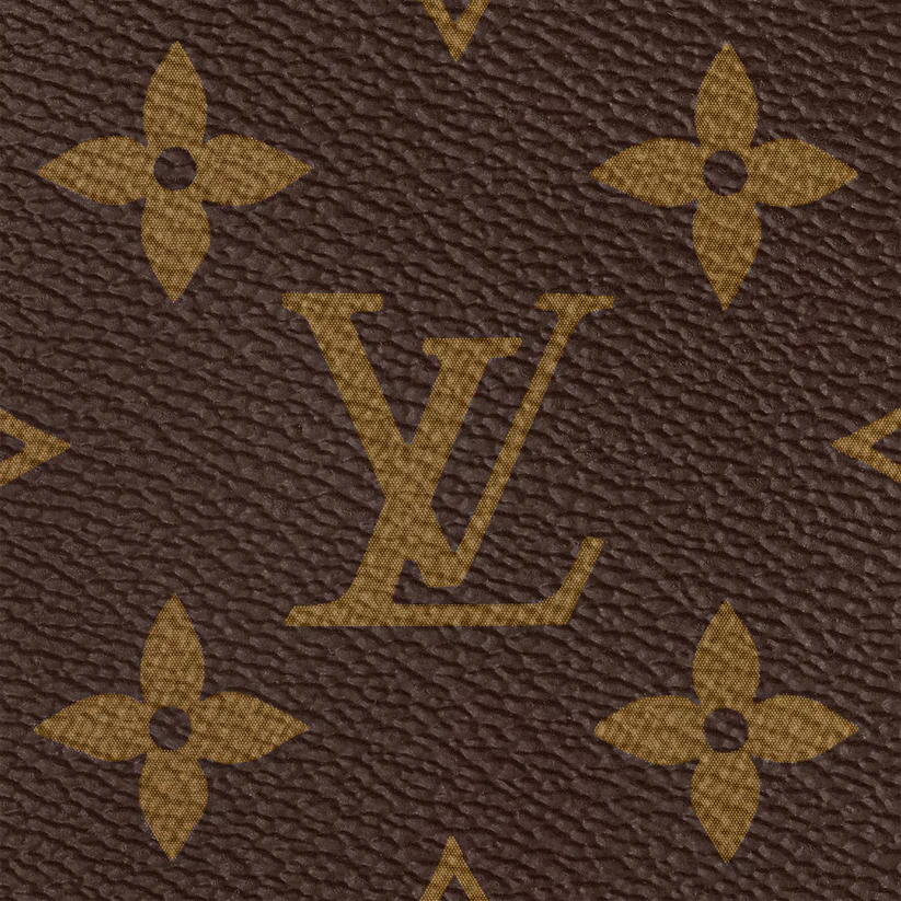 Speedy Bandoulière 25 Bag